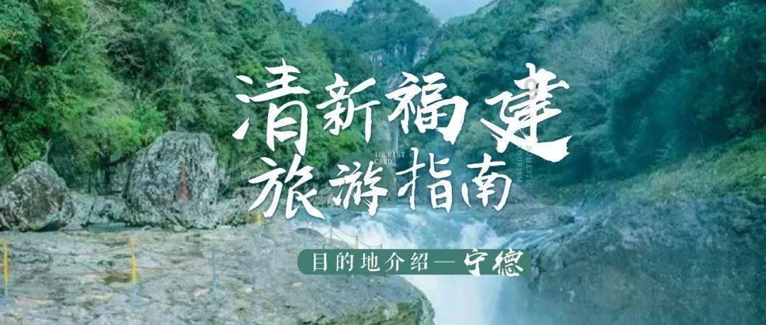 豆娃勇士2